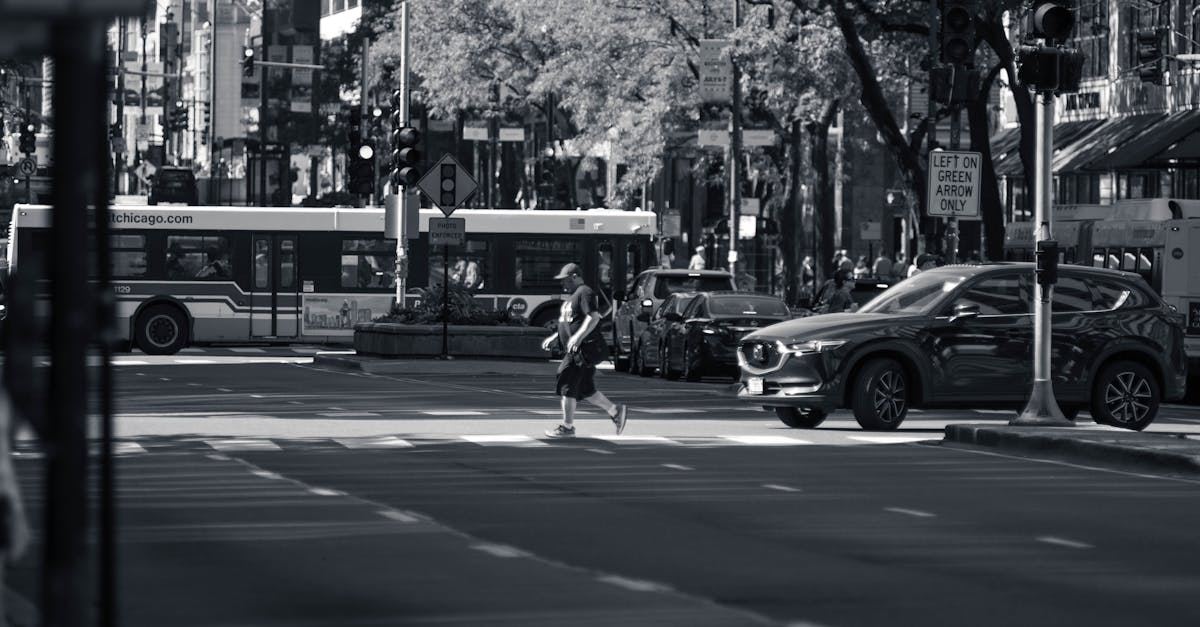 Watsonia, <a href=victoria class='text-primary'>Victoria</a>